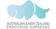 02-australian-and-new-zealand-endocrine-surgeons-logo